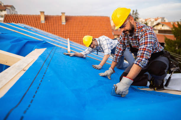 Best Roof Gutter Cleaning  in Great Bend, KS